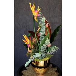 Kompozycja PREMIUM STRELICJE gumowe LUX w złotej osłonce